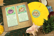 Stardew Valley 1.4 & 1.5 Vinyl Soundtrack Thumbnail